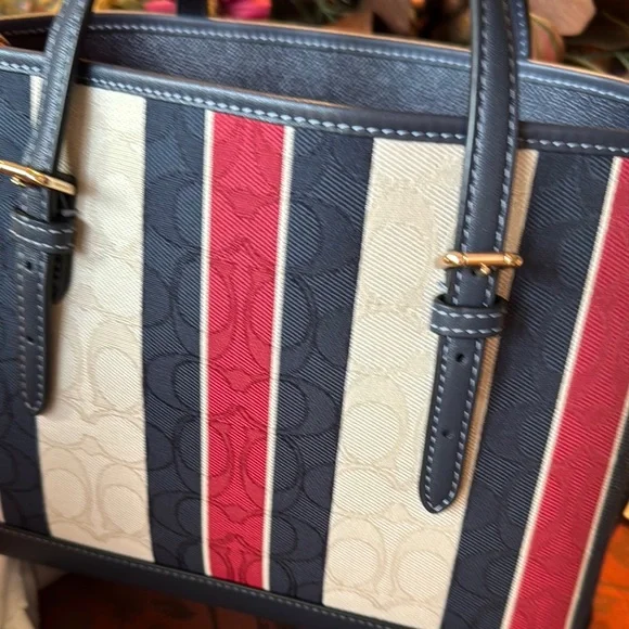 Coach Multicolor Striped Women's Bag - Picture 9 of 16
